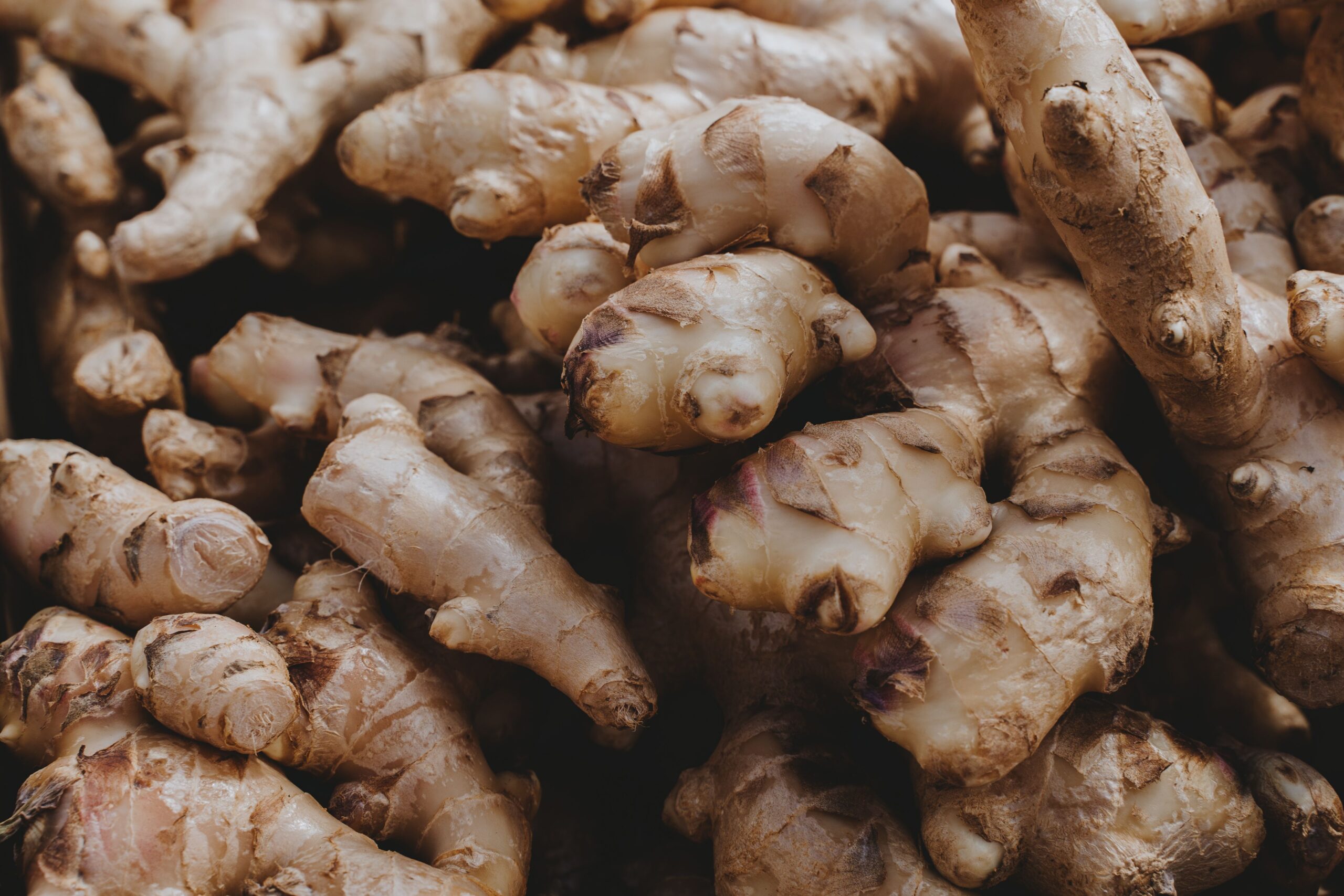 Fresh ginger and galangal roots used as aromatic ingredients in Thai cuisine.